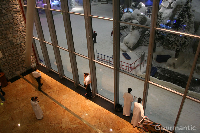 Ski Dubai - Mall of the Emirates