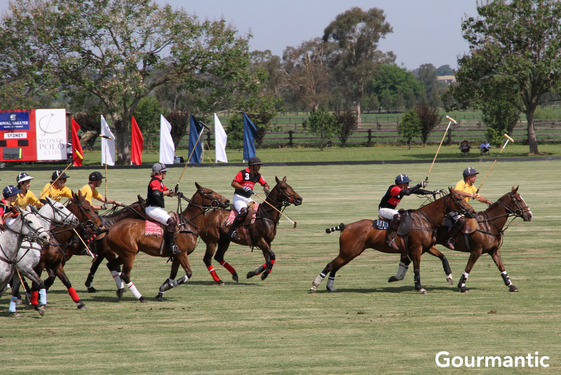 Royal Salute Whisky & Polo Gold Cup Final