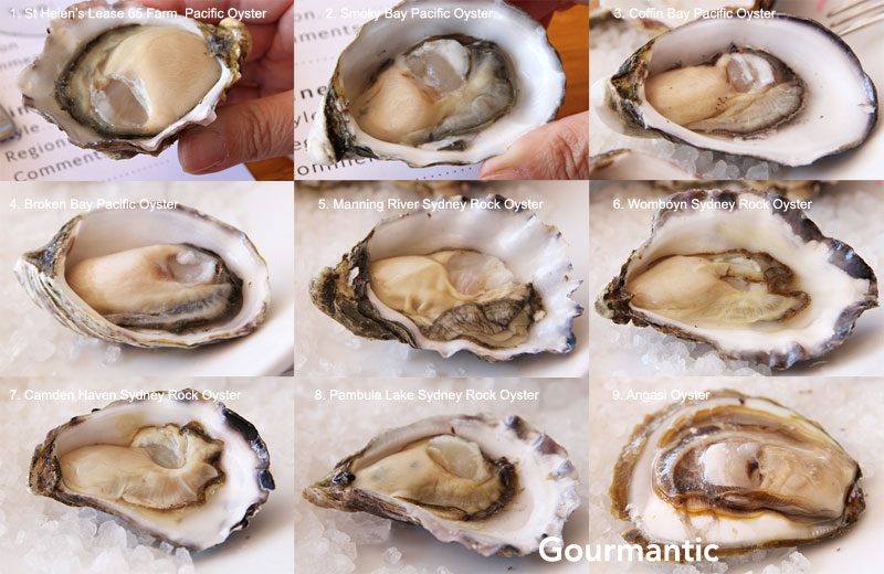 Oysters at the House Favourite Food Articles