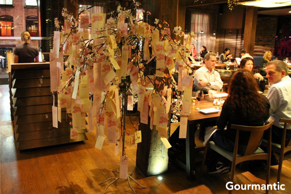 Sakura at Saké Restaurant & Bar