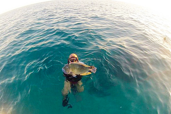 Spearfishing: The Great Barrier Reef