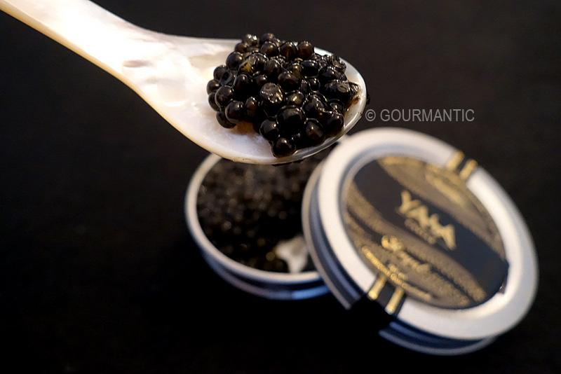 Yasa Caviar