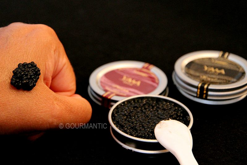 Yasa Caviar Favourite Food Articles