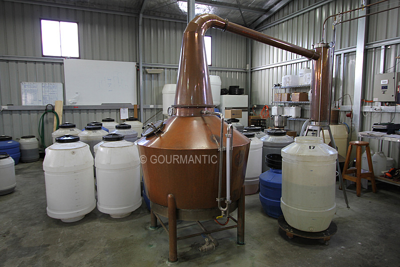 Lark Distillery